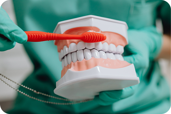Fogkőeltávolítás és dentálhigiénia – NyárFa Dent, Győr
